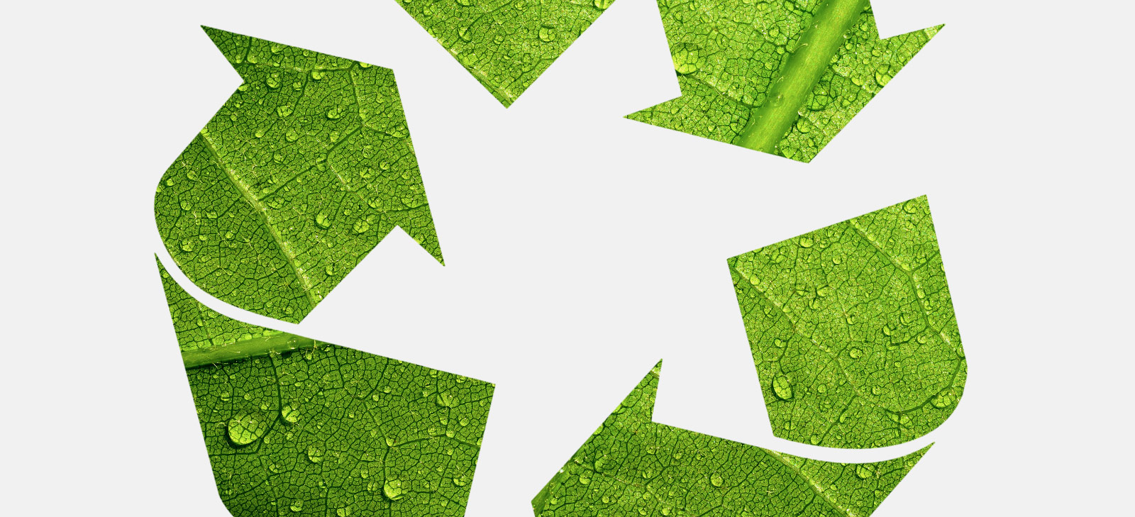 BIODEGRADABLE HYDRAULIC OIL